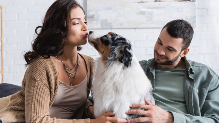 czy całowanie psa jest bezpieczne