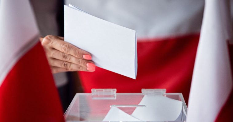 naruszenia ciszy wyborczej