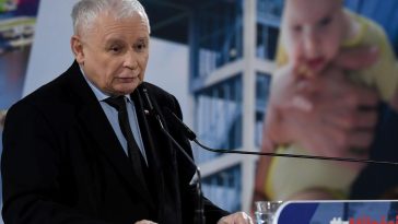 tomasz bocheński pis żona