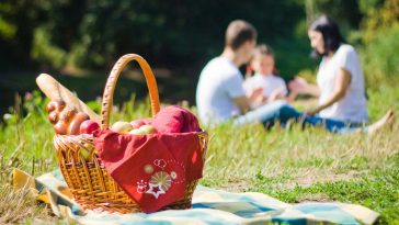 wczasy pod gruszą 2024 warunki