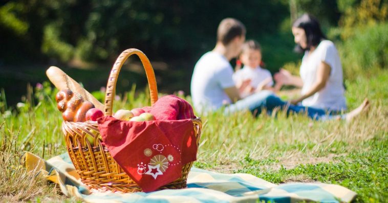 wczasy pod gruszą 2024 warunki