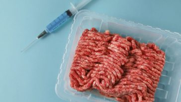 zamienniki mięsa w diecie