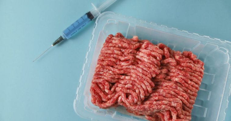 zamienniki mięsa w diecie