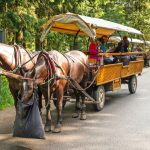 cena fiakrzy morskie oko
