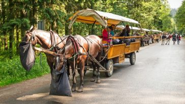 cena fiakrzy morskie oko