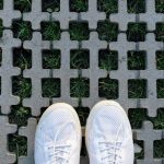 kratki trawnikowe obi castorama mrówka