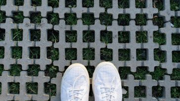 kratki trawnikowe obi castorama mrówka