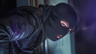 niejawne przeszukanie mswia