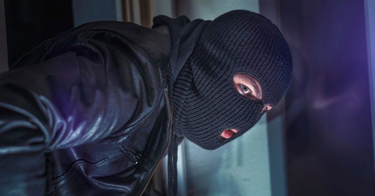 niejawne przeszukanie mswia