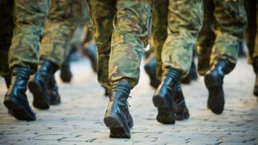 wojska obrony terytorialnej zarobki