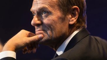 trybunał konstytucyjny orzeka o