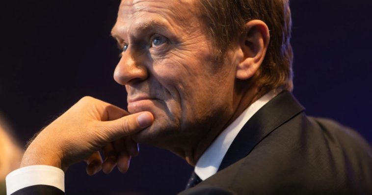 trybunał konstytucyjny orzeka o