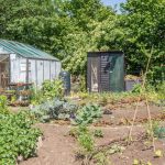 działka rod ceny prądu