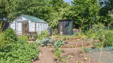 działka rod ceny prądu