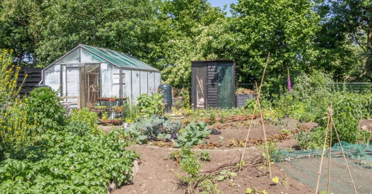 działka rod ceny prądu