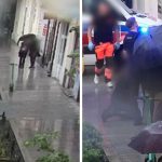 lublin pies wyskoczył z okna