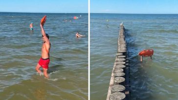 utonięcia w polsce 2024