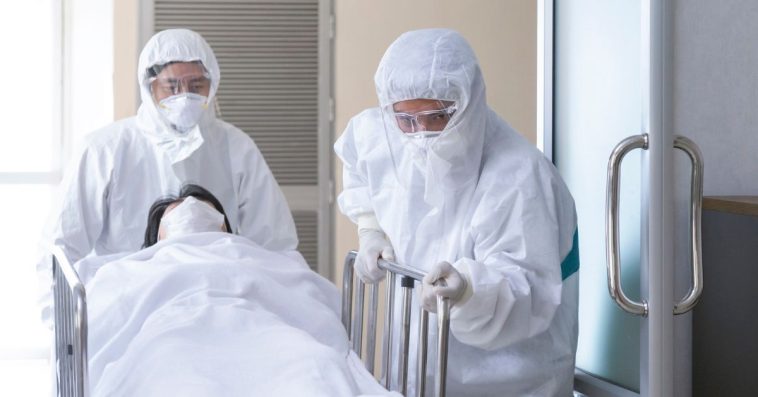 wirus nipah czy jest w polsce