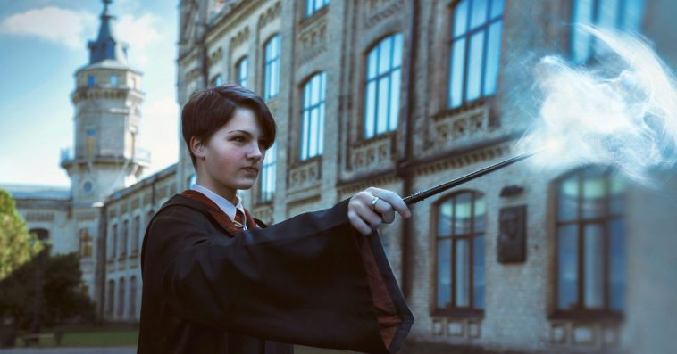 hbo max harry potter serial