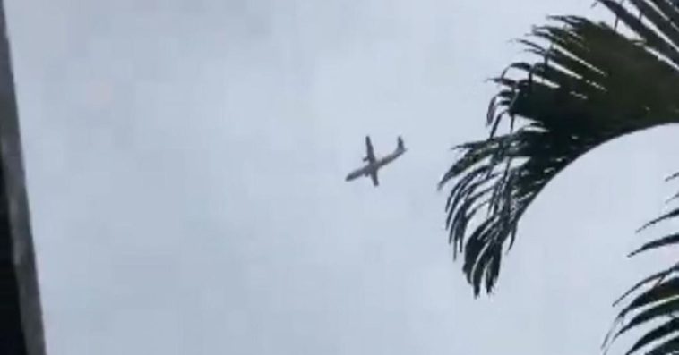 katastrofa samolotu w brazylii film sadistic