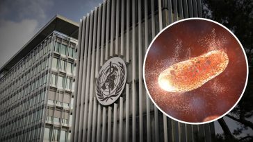 małpia ospa w polsce