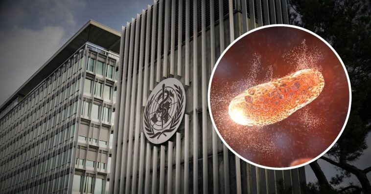 małpia ospa w polsce