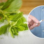 stewia na rzucenie palenia forum