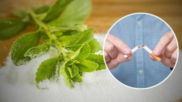 stewia na rzucenie palenia forum