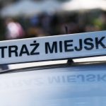 deklaracja ceeb co to jest gdzie złożyć korekta