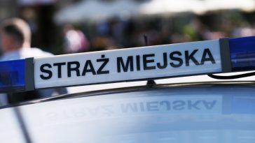 deklaracja ceeb co to jest gdzie złożyć korekta