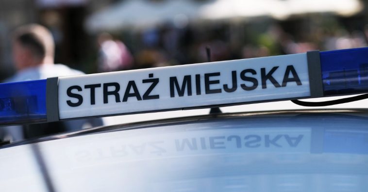 deklaracja ceeb co to jest gdzie złożyć korekta