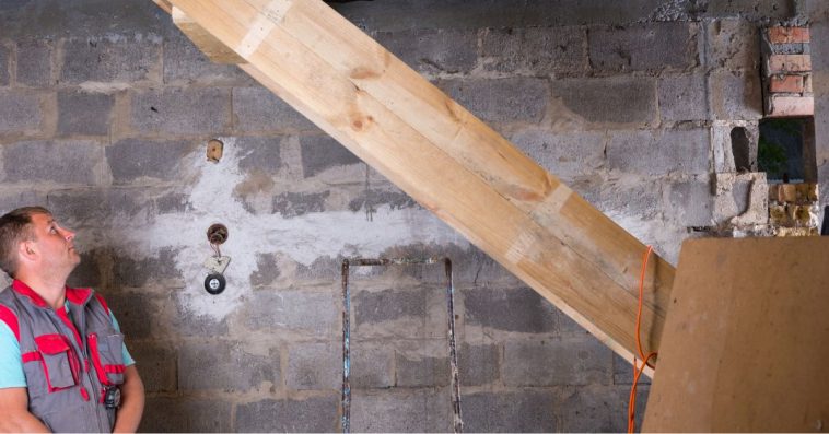 wyrywkowe kontrole piwnic