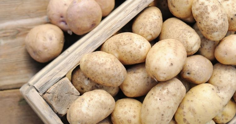 ziemniaki lidl wycofane