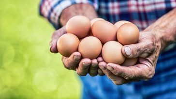 znakowanie jajek w polsce