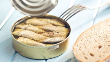 bisfenol a w puszkach wpływ na zdrowie