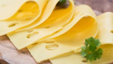 zloty mazur salmonella ser