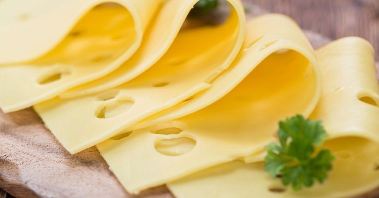 zloty mazur salmonella ser