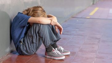 ustawa kamilka kogo dotyczy