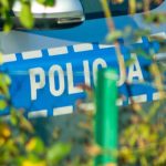 paulina lerch top model