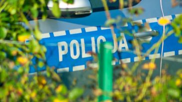 paulina lerch top model