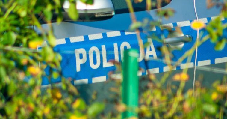 paulina lerch top model