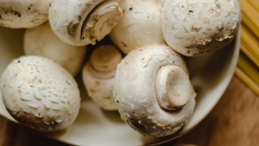 pieczarka brązowa a biała