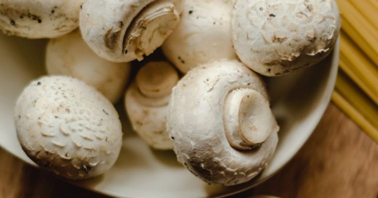 pieczarka brązowa a biała