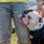 Dlaczego psy wąchają nasze krocze