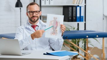 ewolucja człowieka etapy