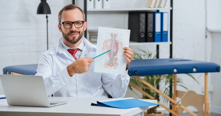 ewolucja człowieka etapy