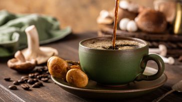 kawa grzybowa właściwości