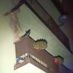 wodzisław śląski policja