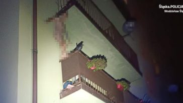 wodzisław śląski policja