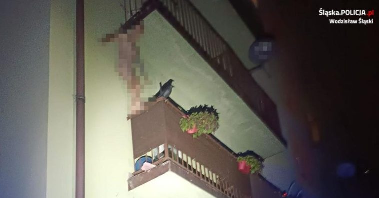 wodzisław śląski policja